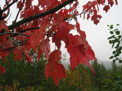 Algonquin Provincial Park, Lookout Trail