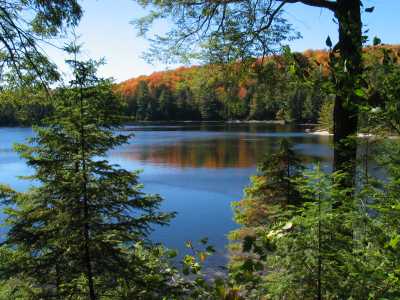 Algonquin Provincial Park, Gem of the Woods