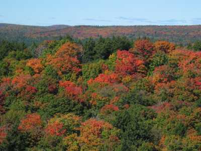 Algonquin Provincial Park, Aussichtspunkt vom Firetower Lookout