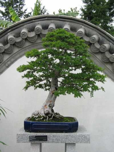 Montreal, Botanischer Garten, Japanese Garden
