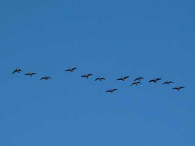 Voyageur Provincial Park