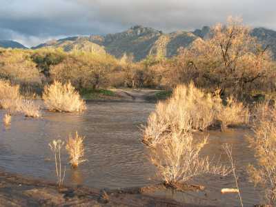 Catalina Mountain State Park, Creek zum Birding Trail