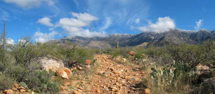 Catalina Mountain State Park, schneebedeckter Mt. Lemmon