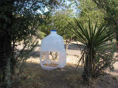 Davis Mountains State Park, unser Vogelfutterhaus