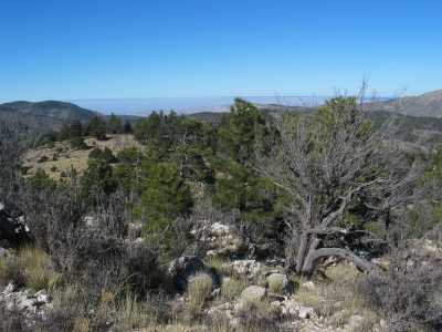 Guadalupe Mountains, Hochtal