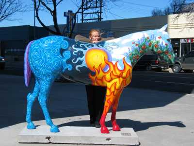 Amarillo, Quarter Horse