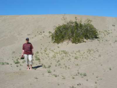 Death Valley, Sanddünen