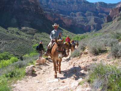 Grand Canyon, Wandern einmal anders!