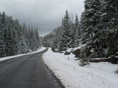 Jemez Mountain Trail