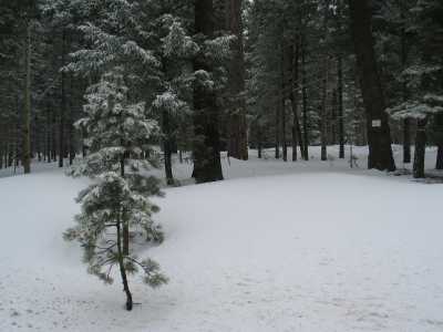 Jemez Mountain Trail, Schnee so weit man sieht