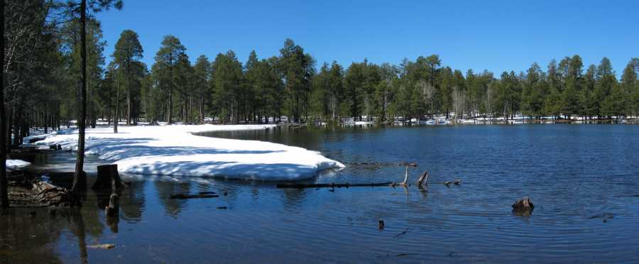 Forest Lake, einer dieser wunderschönen Waldseen