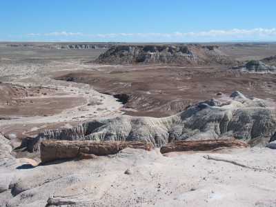 Petrified Forest, Painted Desert