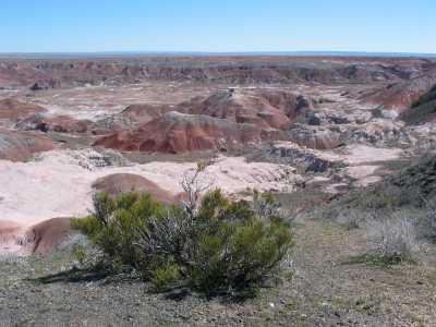 Petrified Forest, Ausblick ins Painted Desert