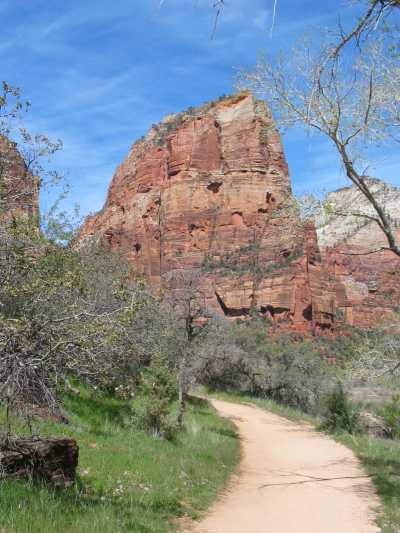 Zion N.P., Angel's Landing