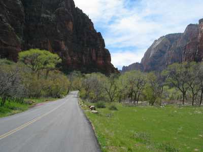 Zion N.P., Scenic Drive
