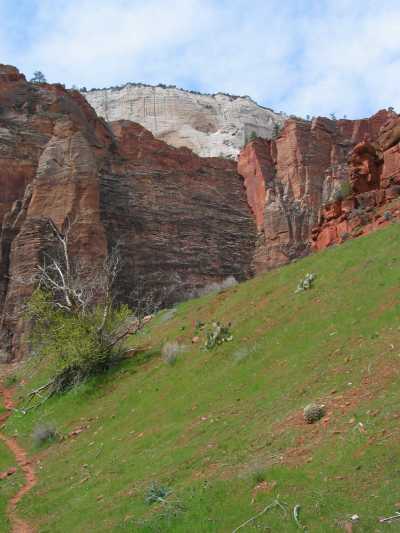 Zion N.P. Flusswanderung