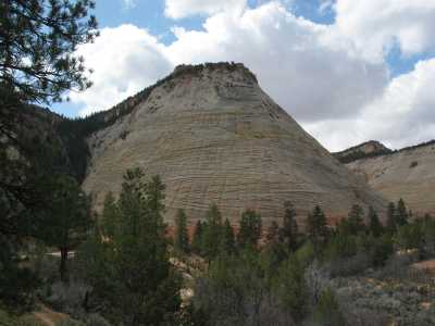 Zion N.P. Checkerboard Mesa