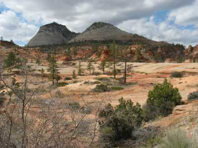 Zion N.P. Ostseite nach dem Tunnel