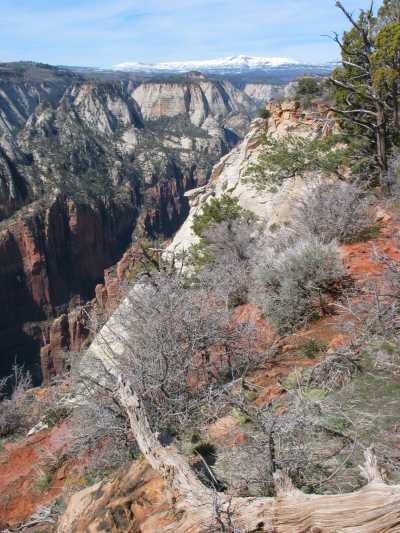 Zion N.P., Aussicht ins Tal