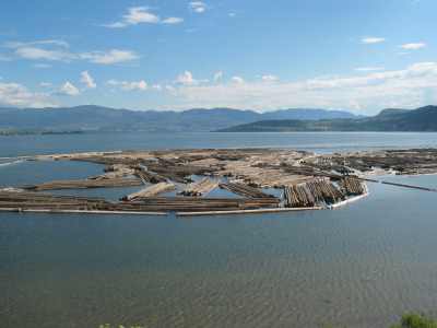 Bear Creek Park, Holz bereit zum Transport 