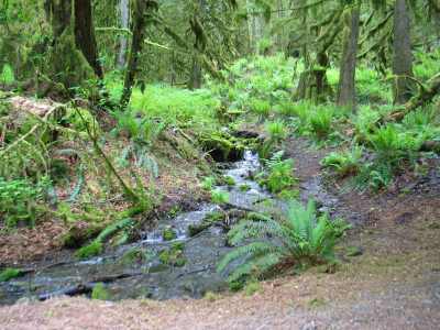 Abbotsford, Cultus Lake Wanderung