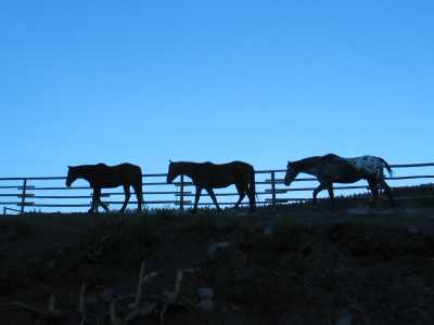 Loon Lake, Wildhorse Mountain Ranch