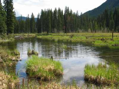 Manning Provincial Park, Beaver Lake