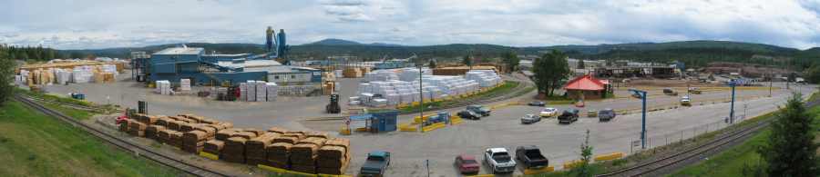 Quesnel, Holz, so weit das Auge reicht