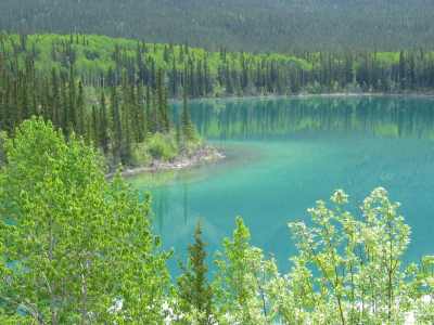 Boya Lake, Campingplatz
