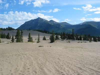 Carcross, kleinste Wste der Welt
