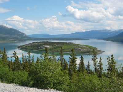Carcross, Bove Island