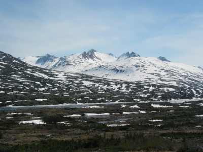 Carcross, White Pass