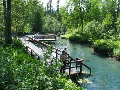 Liard River Hot Springs