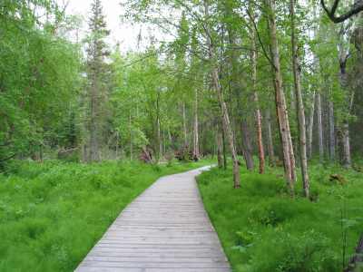 Liard River Hot Springs, Steg