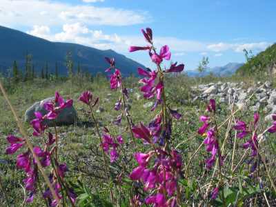 Muncho Lake Provincial Park, Wanderung