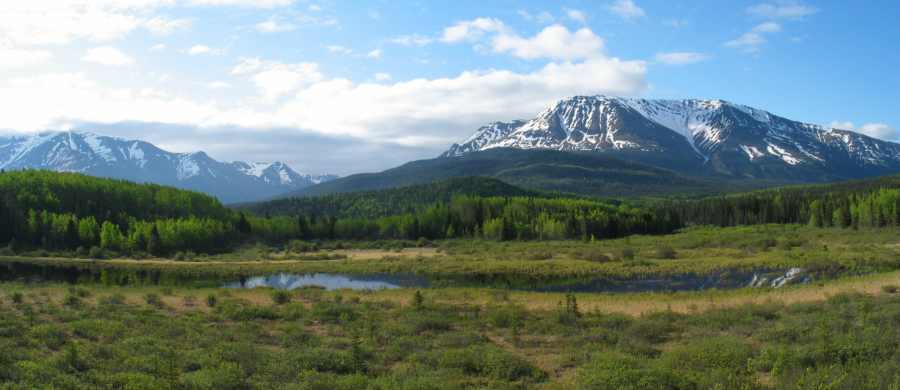 Stewart Cassiar Highway, Rest Aera mit Aussicht